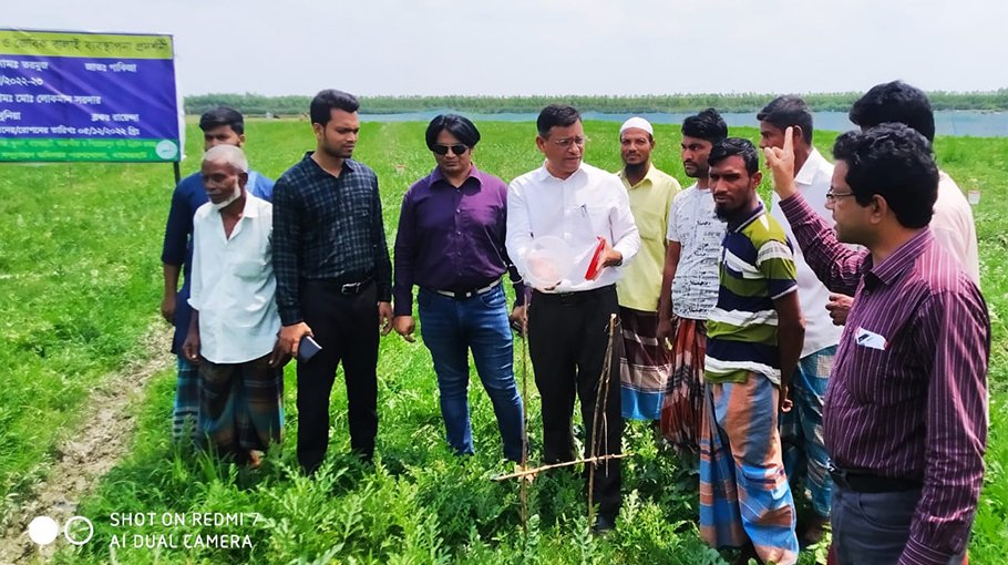 Field day held in Sharankhola