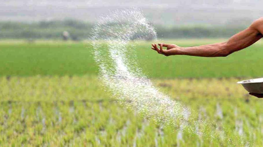 Fertilizer price  goes up