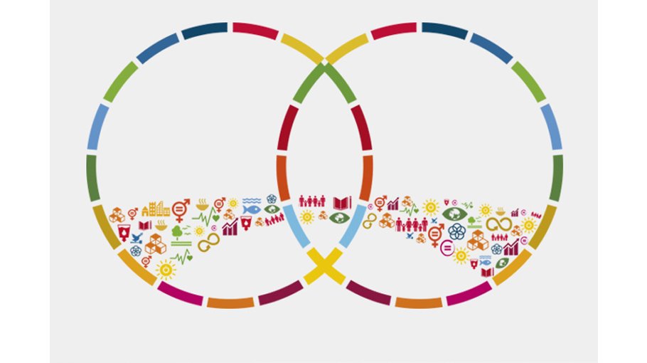 Development goals and the need for South-South cooperation 