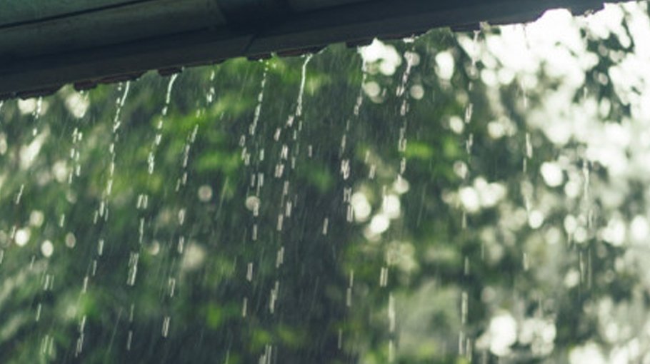 Rains likely in Mymensingh, Sylhet today