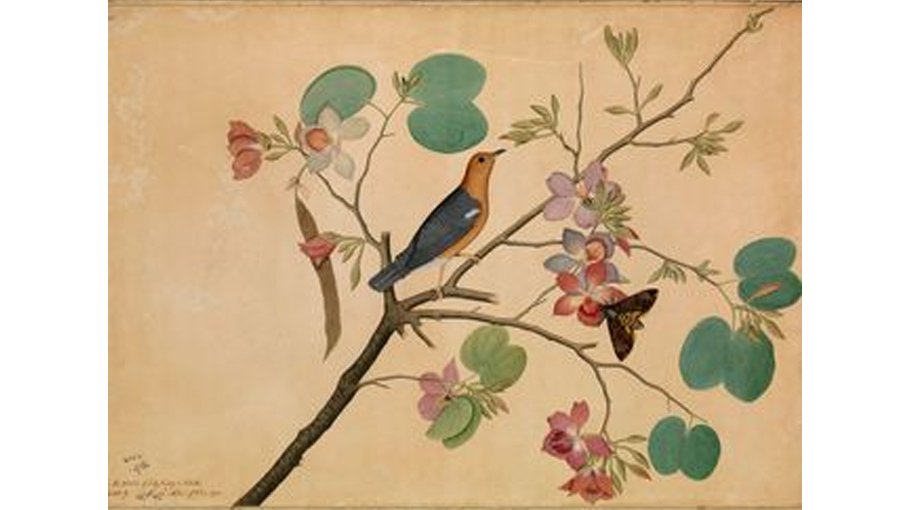 Exploring the artistic revolution of 18th century India