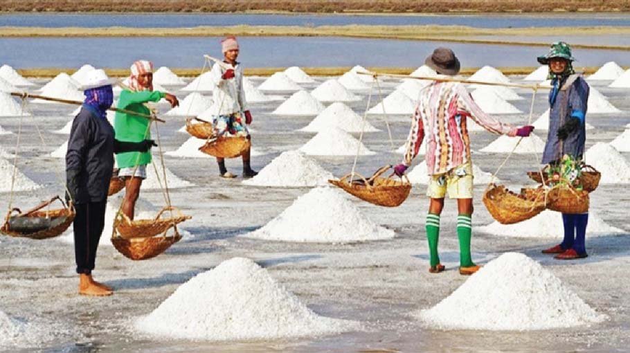 Salt production hits record high