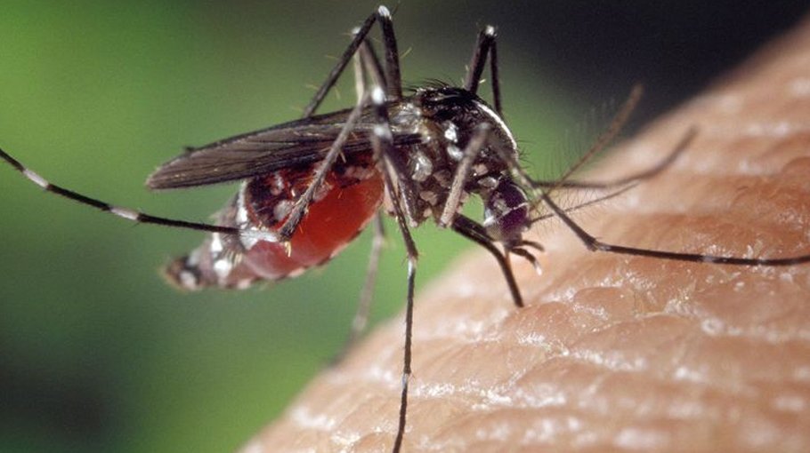 Mosquitoes are poised to swamp global health systems