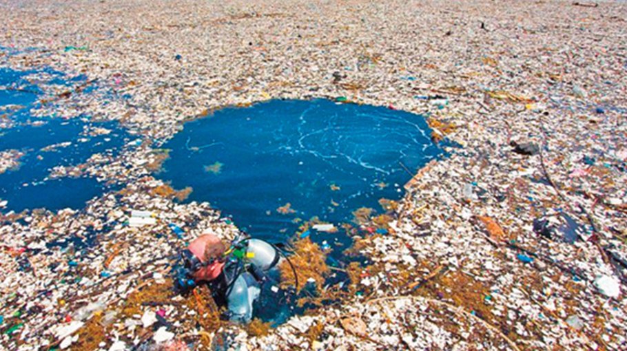 The Pacific garbage patch is  now hosting a new threat