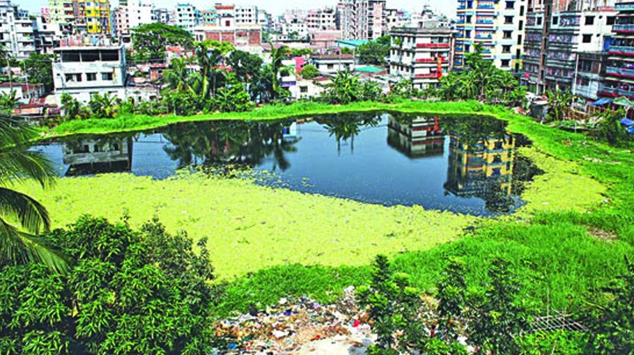 71 city ponds filled in 5 years 