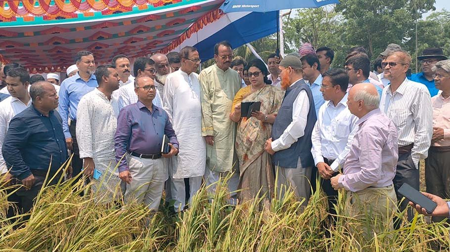 Gopalganj LGED distributes seeds among farmers, holds training