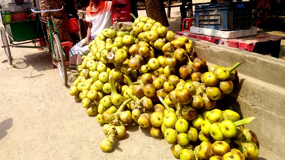 Palm shells gain popularity in Brahmanbaria