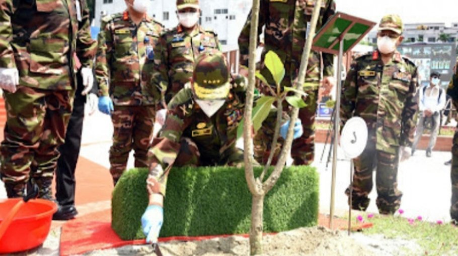Army chief inaugurates tree plantation  programme  