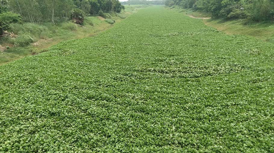 Gumani River in death throes