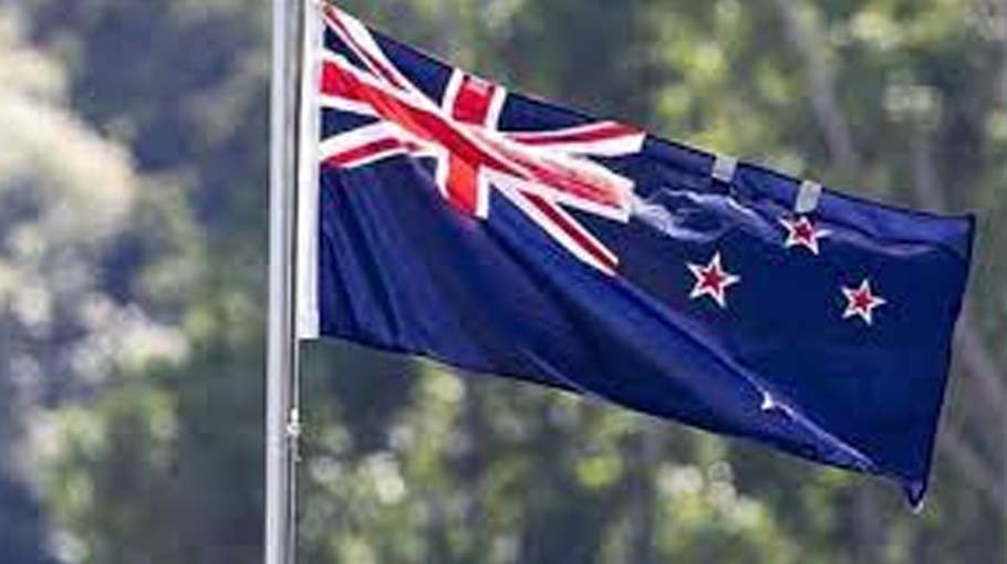 New Zealand economy tips into recession