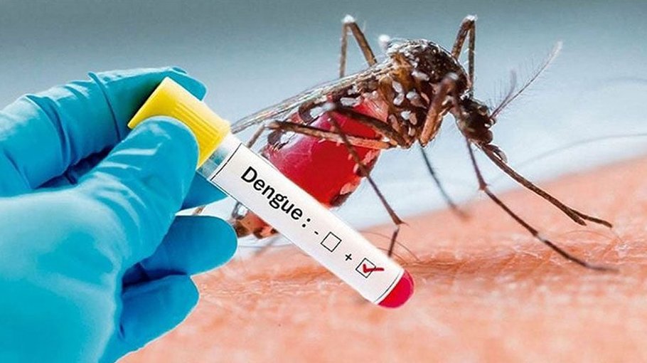 One dengue patient dies, 305 hospitalised in 24 hrs