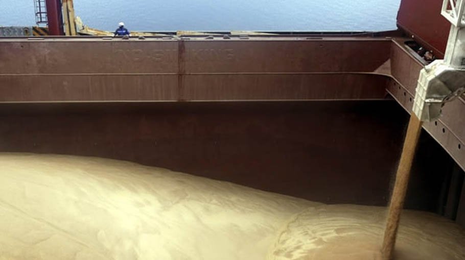 Food exports declining under grain deal: UN