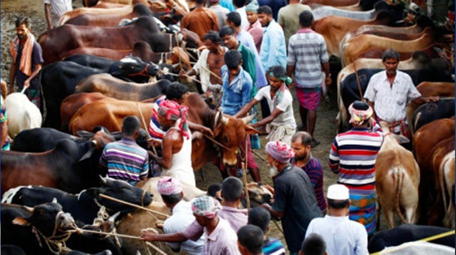 Govt instructions for cattle markets