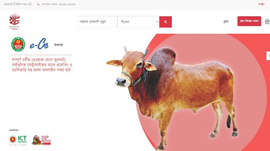 Online cattle mkts gain popularity