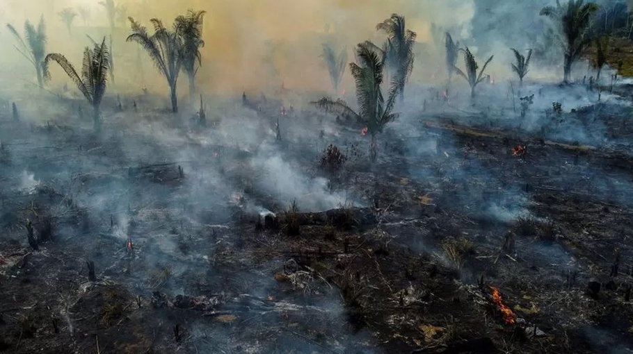Climate change: Deforestation surges despite pledges