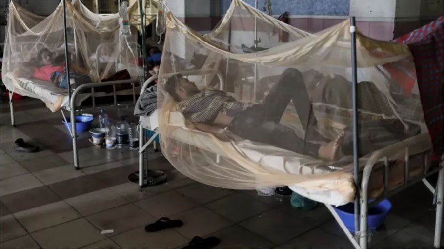 4 more dengue patients die in  24 hours