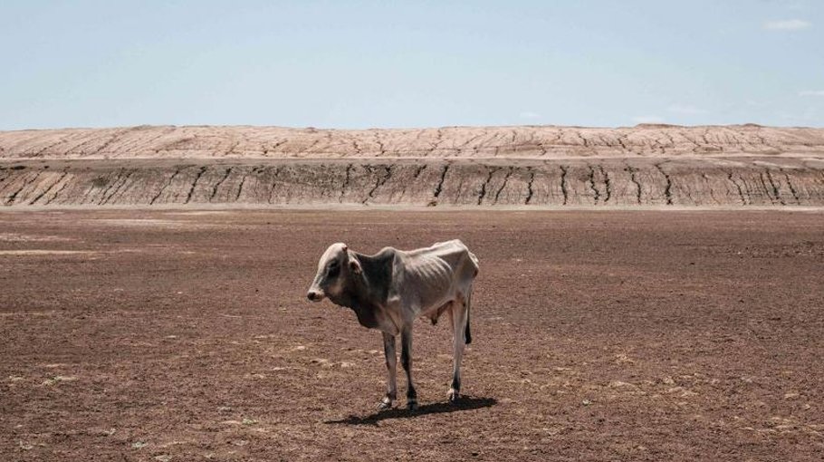 Climate change: Why Africa should top the agenda at COP28