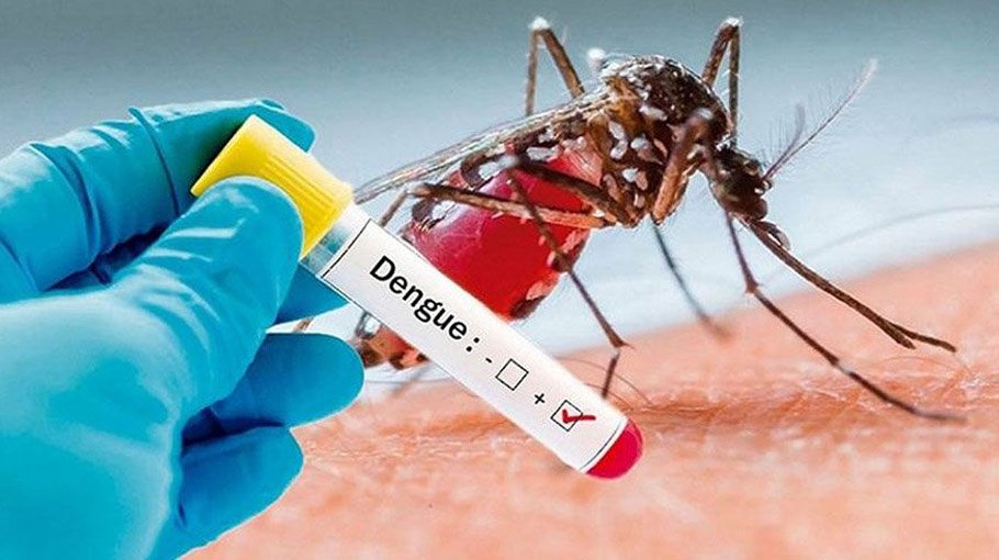 2 more die of Dengue, 820 hospitalised  in 24 hrs