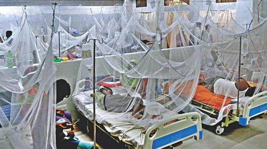 Three dengue patients die, 889 hospitalised  in 24 hrs