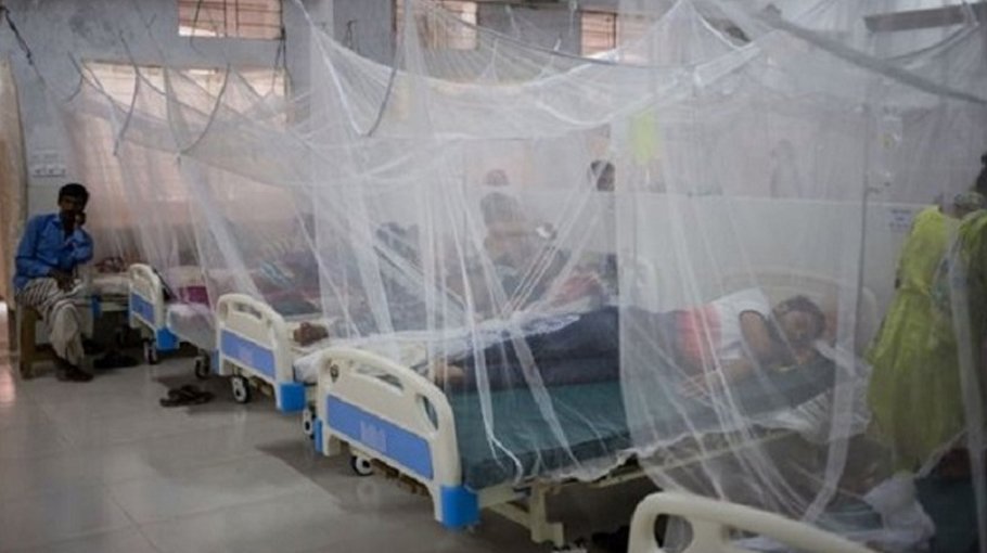 Record 1,623 dengue patients hospitalised in a day; death toll reaches 100
