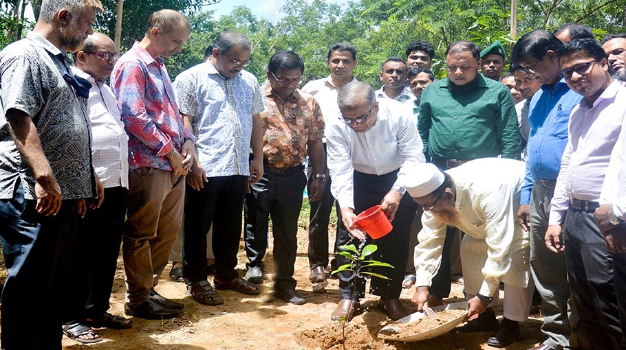 National tree plantation programme observed at CUET