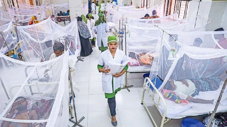 Govt move to boost healthcare facilities for dengue patients