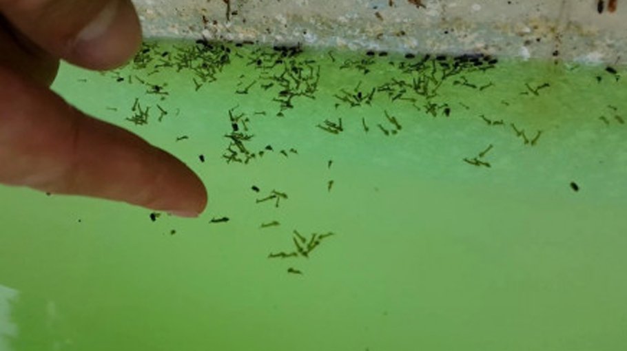 DSCC fines 13 offenders Tk 1.4 lakh