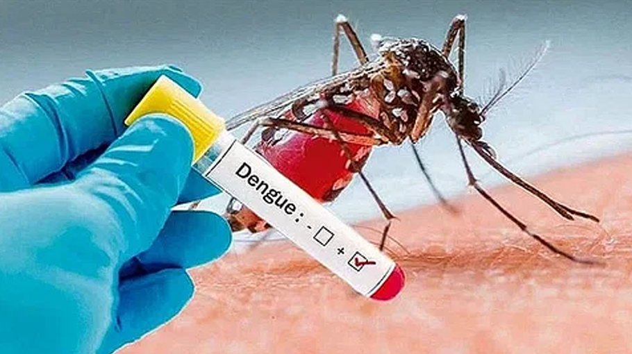 Nine dengue patients die, 2,293 hospitalised in 24 hrs