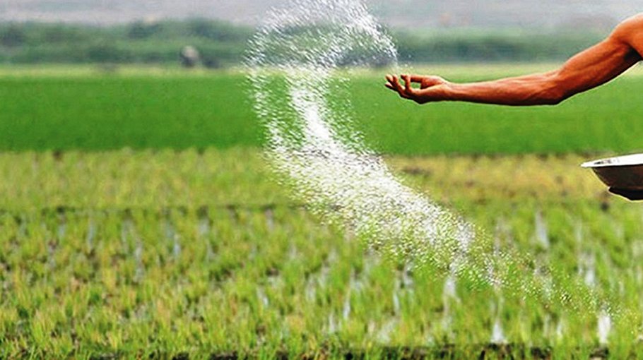 ‘Random use of chemical fertiliser spoils soil fertility’