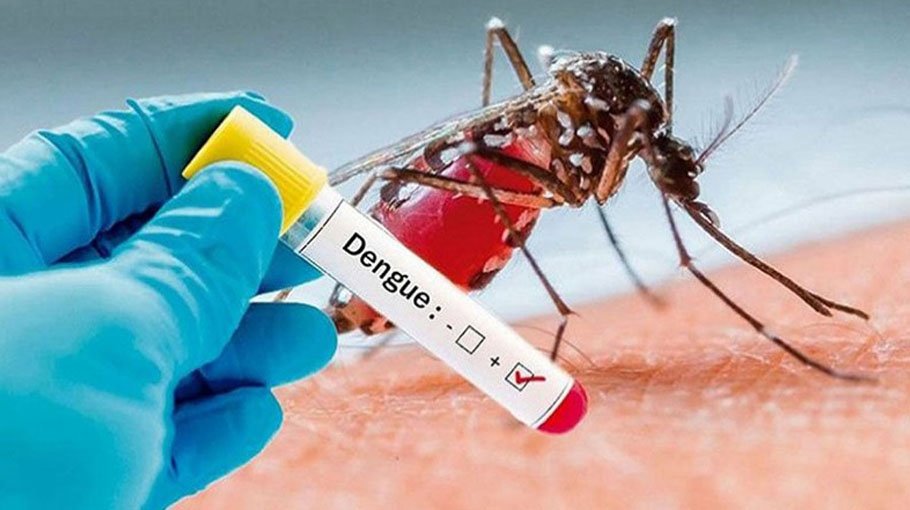 10 dengue patients die, 2,361 hospitalised  in 24hrs