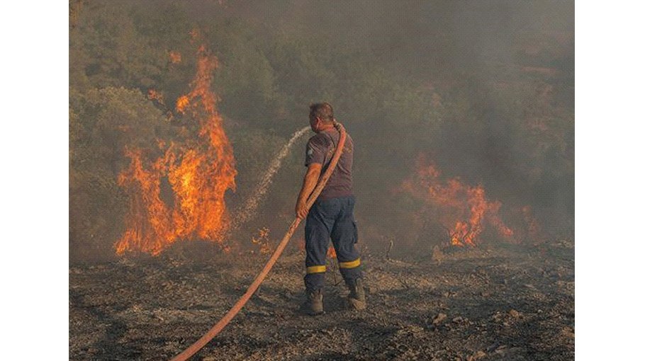 Facing extinction: The time for climate action is now