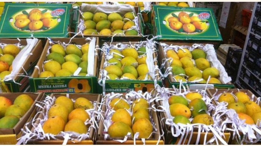 Mango export sets record