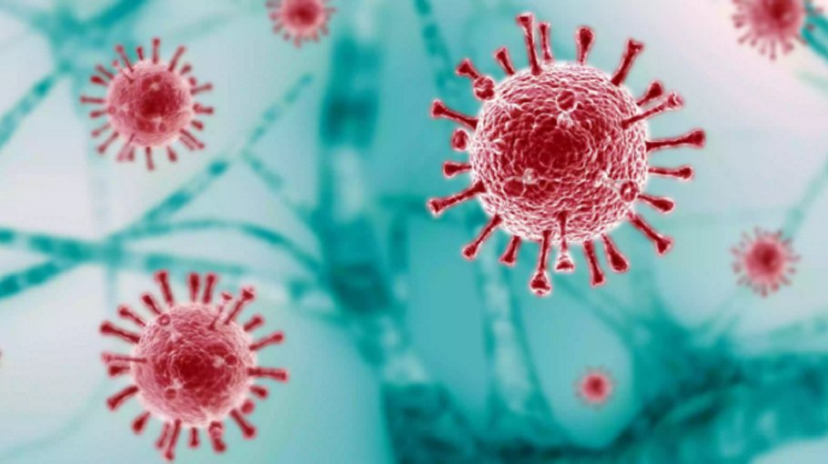 72 Covid-19 cases reported in 24 hours