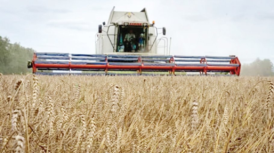 Russia’s export duty on wheat to rise $30.43 per MT from Aug 9