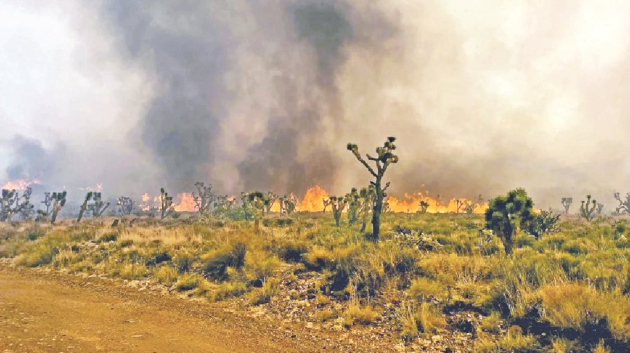 Heat, wildfires and floods make summer of 2023 ‘a summer of extremes’