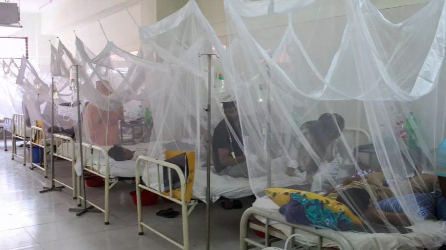 10 dengue patients die, 2,764 hospitalised in 24hrs