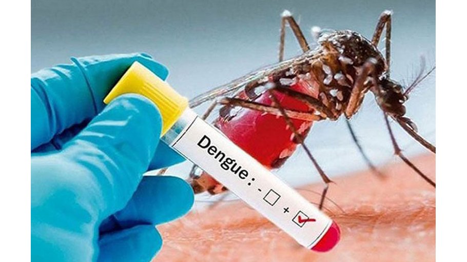 10 dengue patients die; 1,984 hospitalised in 24hrs