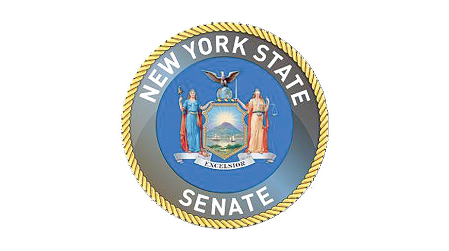 NY senate passes ‘Bangladeshi Immigrant Day’ resolution 