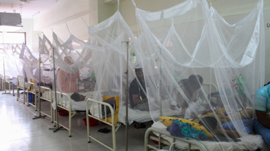 14 dengue patients die; 1,594 hospitalised in 24 hrs