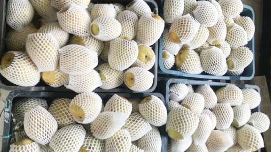 Rajshahi mango being exported to Russia for the first time