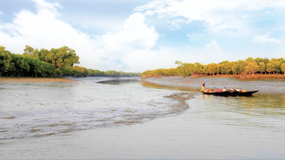 Sundarbans reopen for tourists, fishermen today