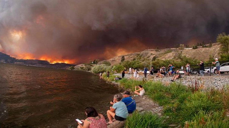 COP28 and beyond: Urgent calls for climate action