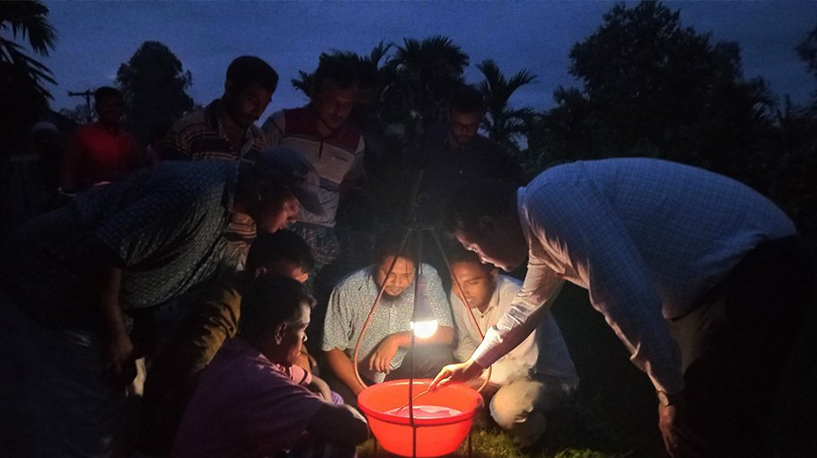 Light-trap method for pest control gaining popularity