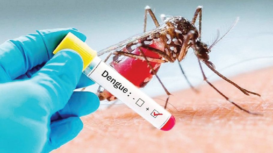Dengue cases increasing alarmingly in N’ganj