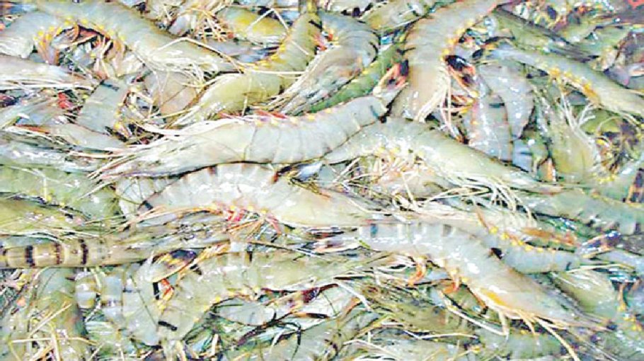 Central bank issues new guidelines for cash incentive 