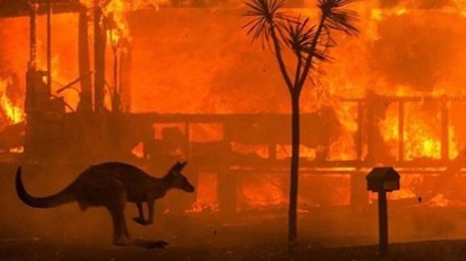 Death toll climbs as bushfires return to Australia