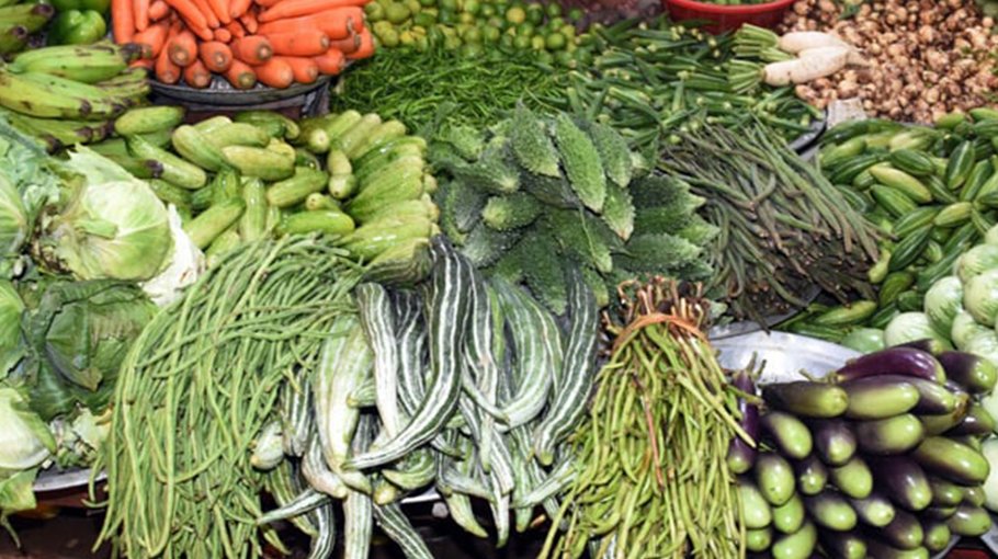 Rajshahi experts for vegetable preservation to prevent wastage