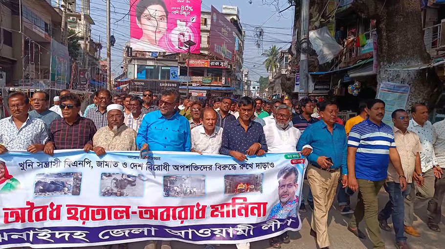 Jhenaidah AL holds anti-hartal rally BNP-Jamaat anarchy protested
