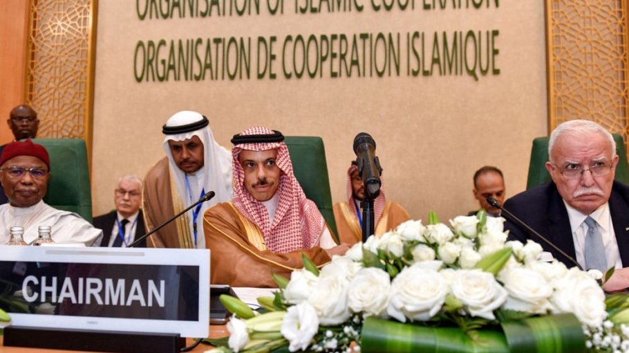 Saudi hosts Gaza summits 