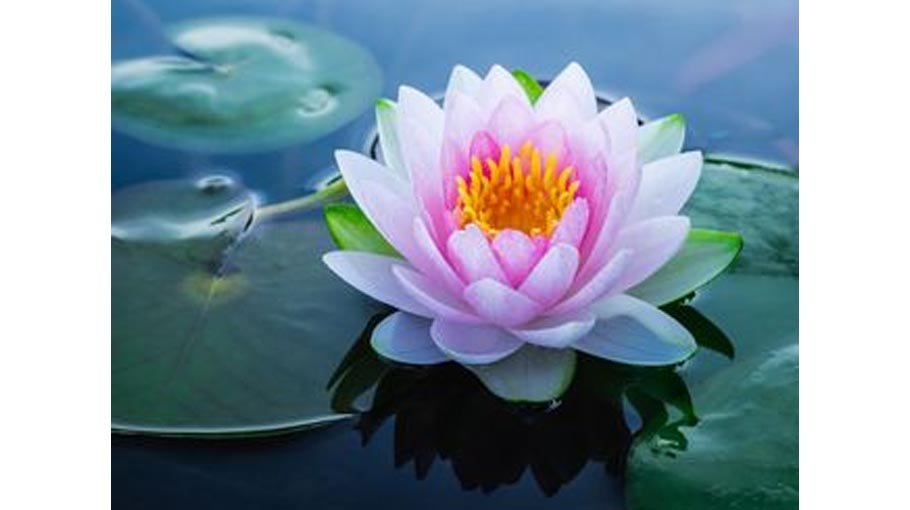 Race against time to thwart impact of escalating heatwaves